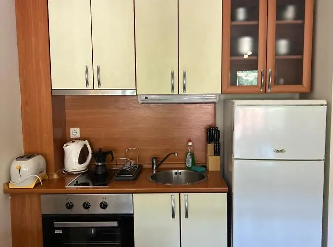 Alpine Nest: 6km To Slopes Aparthotel 3*